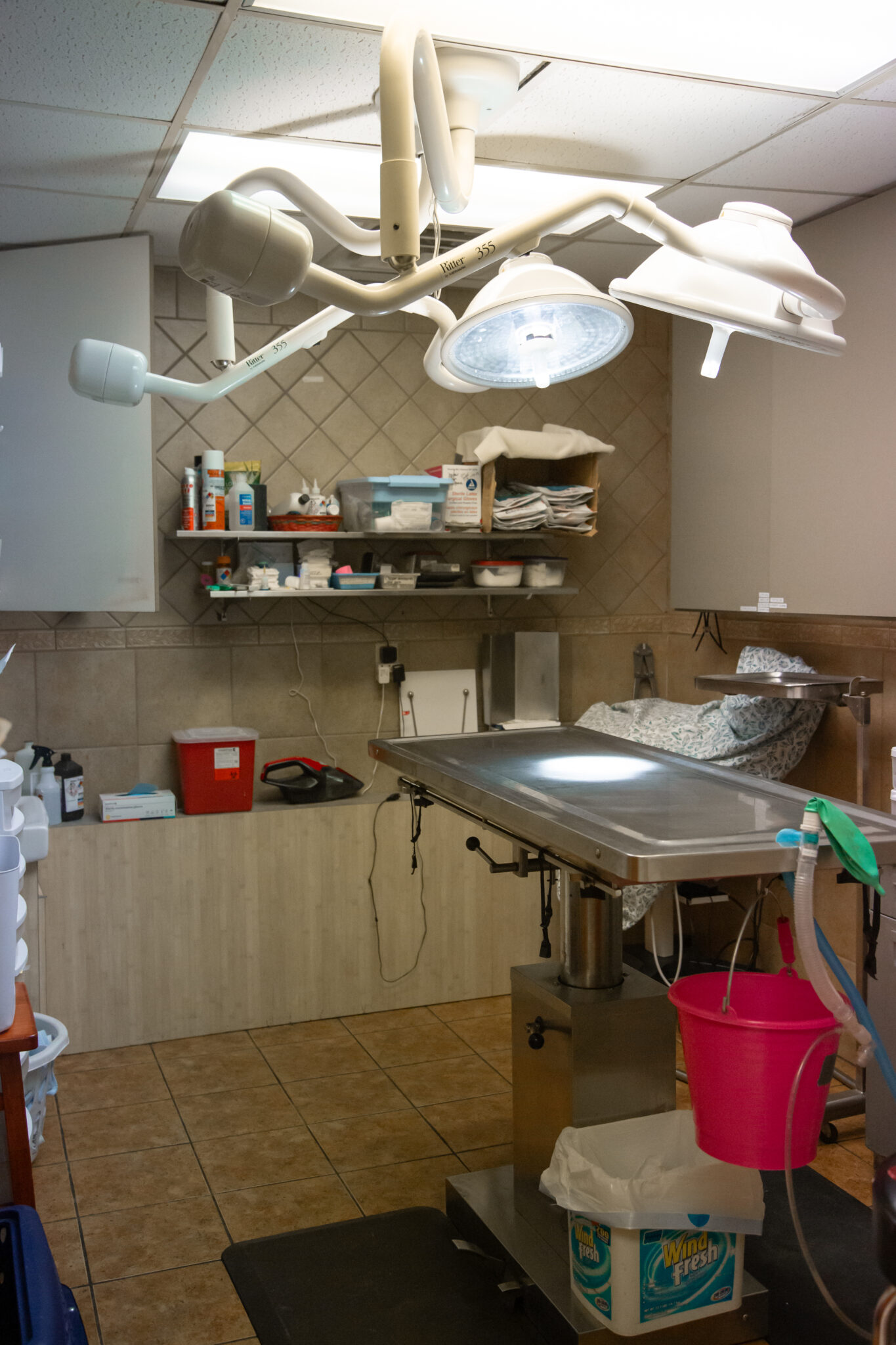 Old Dominion Veterinary Clinic Surgery Table