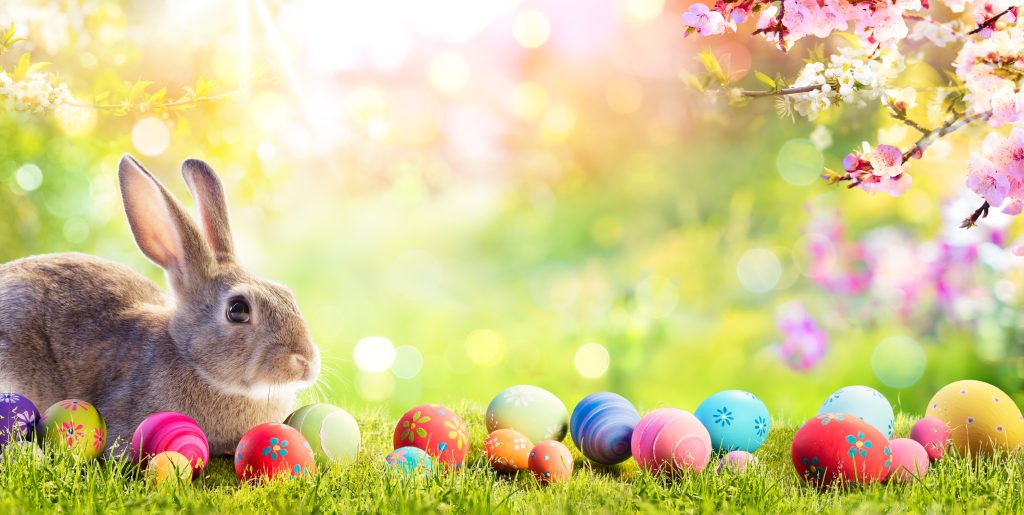 Planning a Pet Safe Easter