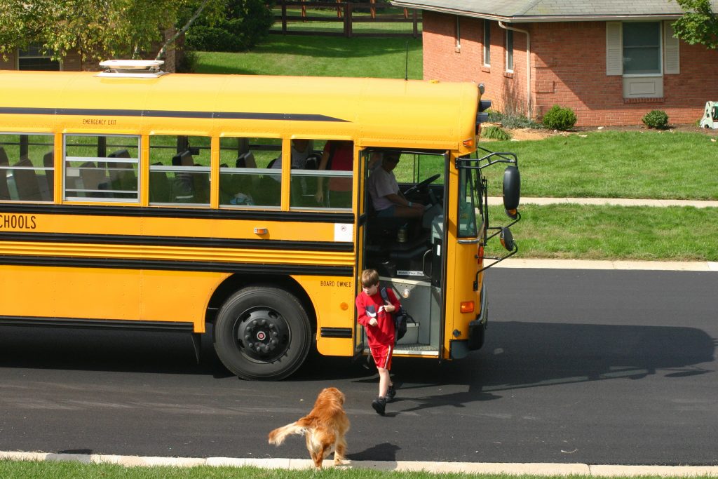 Old Dominion gives advice for helping adjust your pets' routine as kids go back to school