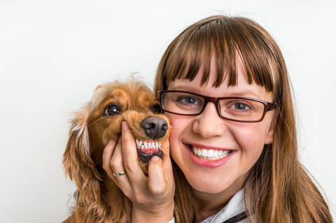 Pet dental health is essential to overall health