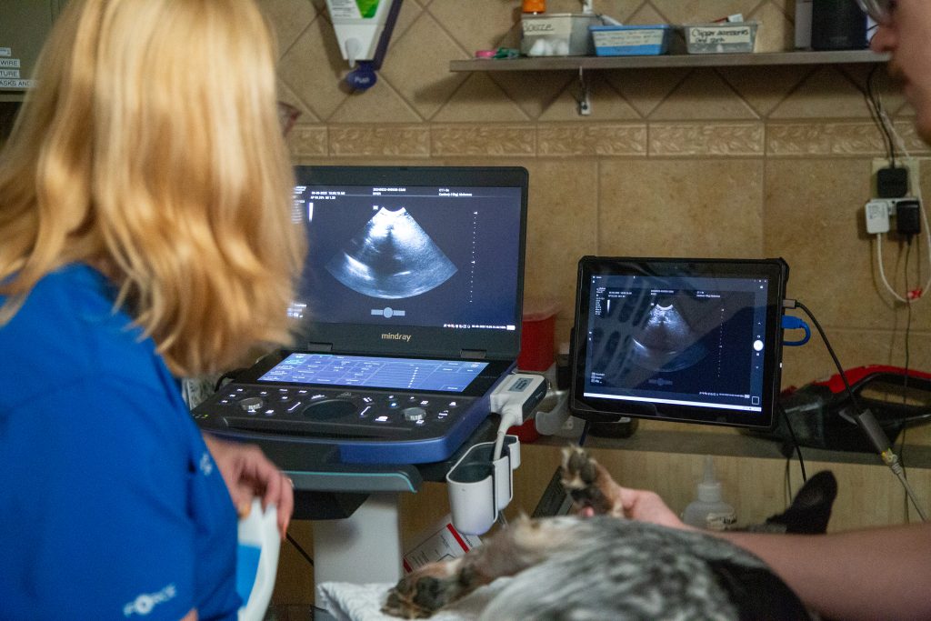 Diagnostic imaging