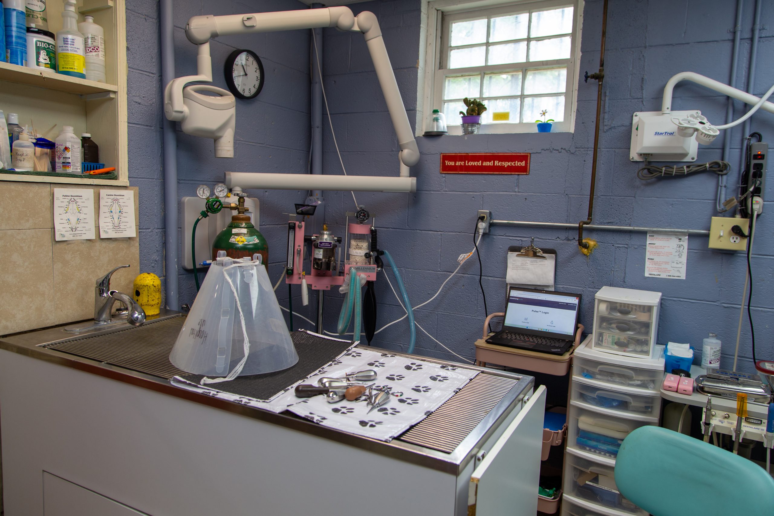 Microchipping Roanoke, VA