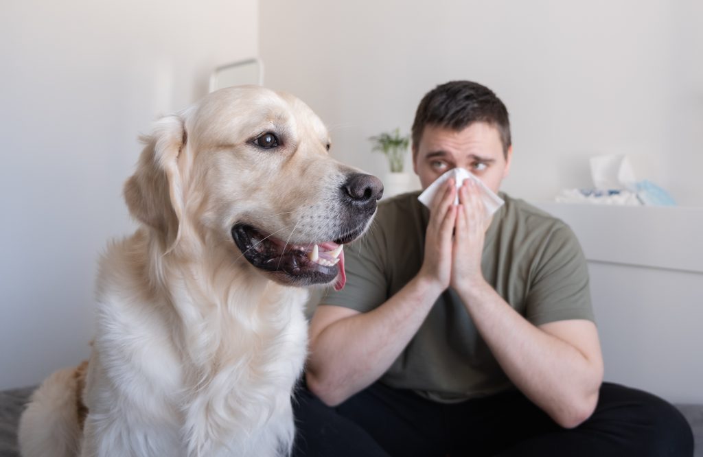 a dog sitting next to a man blowing his nose 