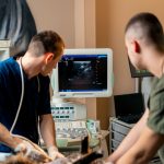 The Facts About Veterinary Surgery at ODV